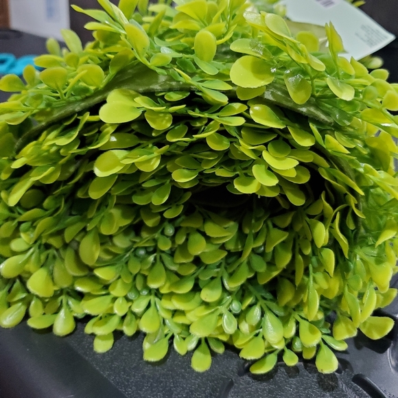 NEW Green Plants 🌿 Table Runner Mat Cover Indoors Outdoors Home Decor L👀K 🌱🌿 - Picture 11 of 12